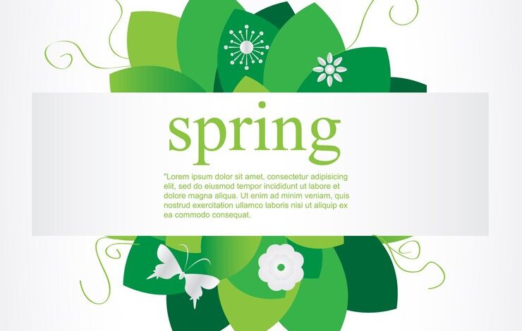 spring ferraz a-102914 right